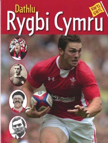 Stock image for Hwyl Gyl: Dathlu Rygbi Cymru (Hwyl Gwyl) for sale by Revaluation Books