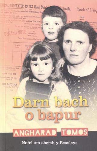 Beispielbild fr Darn Bach o Bapur zum Verkauf von WorldofBooks