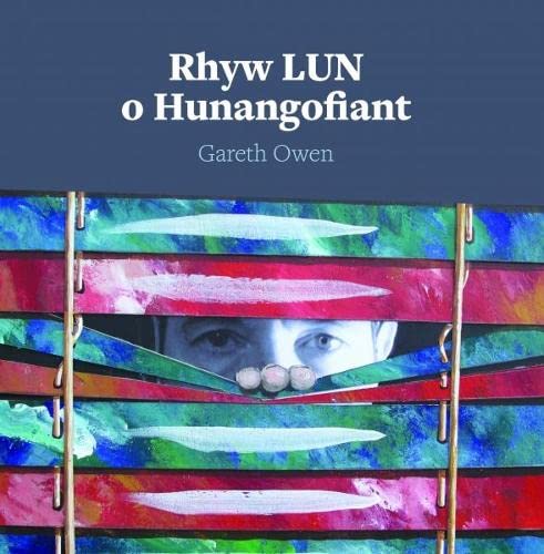 Stock image for Rhyw LUN o Hunangofiant for sale by WorldofBooks