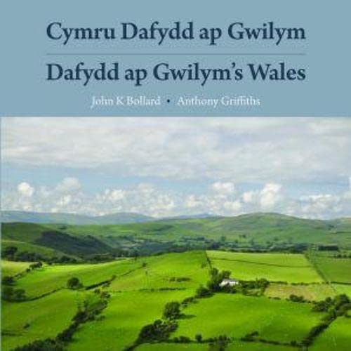 Imagen de archivo de Cymru Dafydd Ap Gwilym - Cerddi a Lleoedd / Dafydd Ap Gwilym's Wales - Poems and Places (Welsh Edition) a la venta por Irish Booksellers