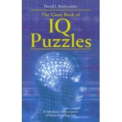 Imagen de archivo de Giant Book of IQ Puzzles a la venta por Once Upon A Time Books