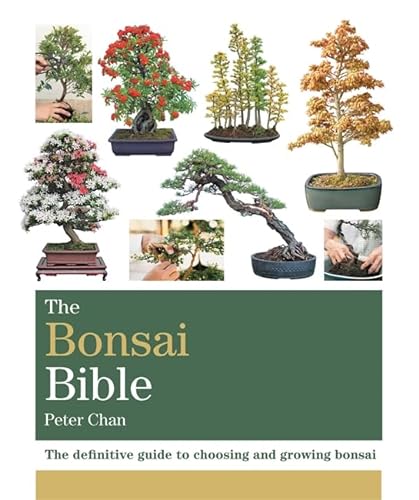 Stock image for The Bonsai Bible : The Definitive Guide to Choosing and Growing Bonsai for sale by Better World Books