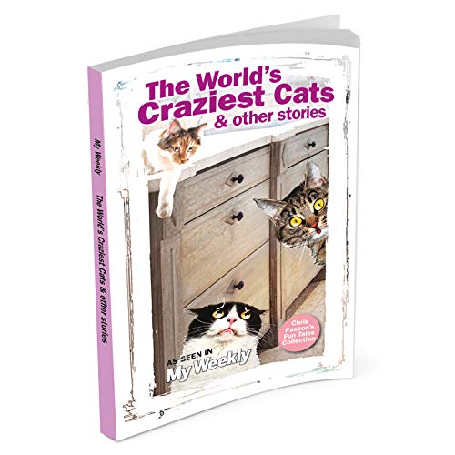 Beispielbild fr The Worlds Craziest Cats & Other Stories - My Weekly zum Verkauf von WorldofBooks