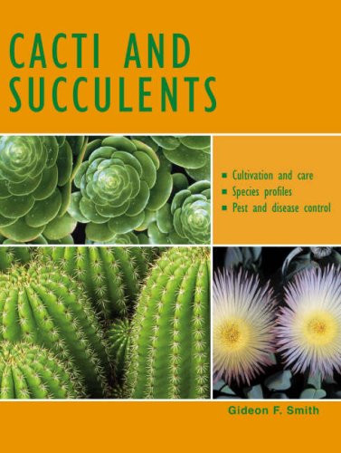 Stock image for Cacti and Succulents for sale by WorldofBooks