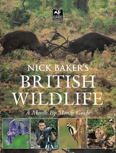 Stock image for Nick Baker's British Wildlife: A Month by Month Guide for sale by WorldofBooks