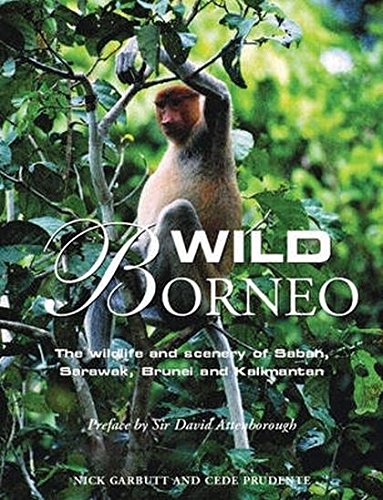 Wild Borneo: The Wildlife and Scenery of Sabah, Sarawak, Brunei and Kalimantan - Garbutt, Nick