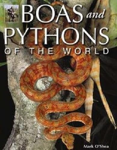 Beispielbild fr Boas and Pythons of the World zum Verkauf von WorldofBooks