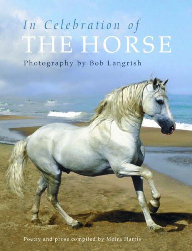 Stock image for In Celebration of the Horse for sale by Goldstone Books