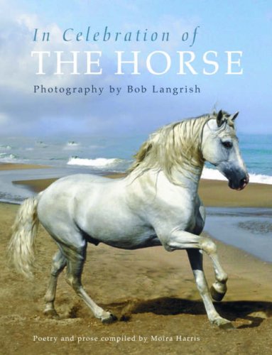 Stock image for In Celebration of the Horse for sale by WorldofBooks