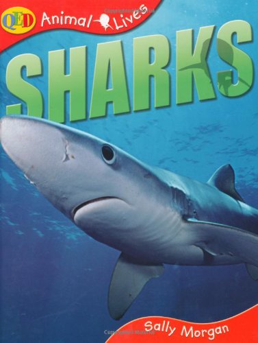 Beispielbild fr Animal Lives: Sharks zum Verkauf von WorldofBooks