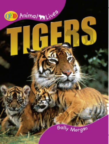 9781845380359: Animal Lives: Tigers