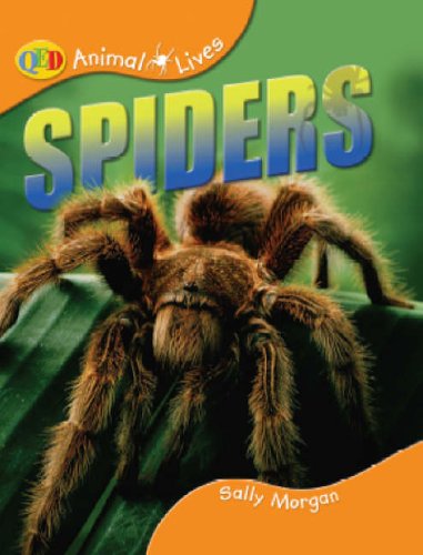 Spiders (9781845380366) by Sally Morgan