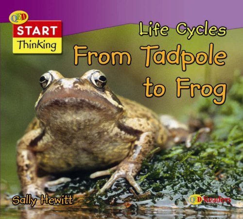 9781845381561: Life Cycles: From Tadpole to Frog: 0 (QED Readers: Start Thinking S.)