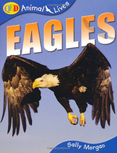 Stock image for Animal Lives: Eagles (QED Animal Lives S.) for sale by AwesomeBooks