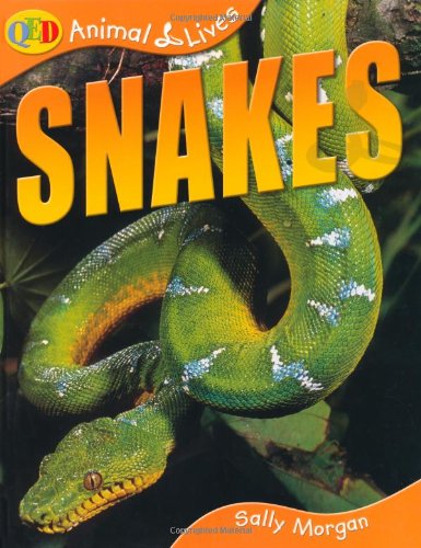 9781845382018: Snakes (QED Animal Lives)