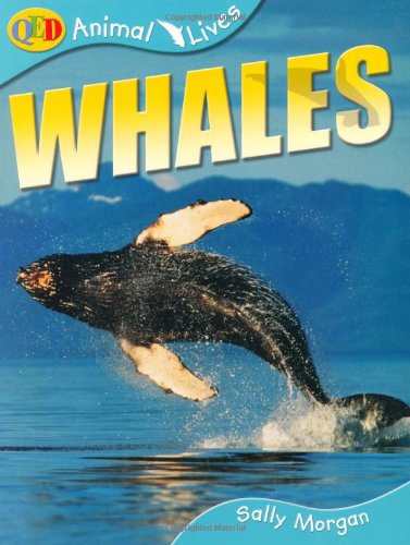 Beispielbild fr Animal Lives: Whales: QED Animal Lives zum Verkauf von AwesomeBooks