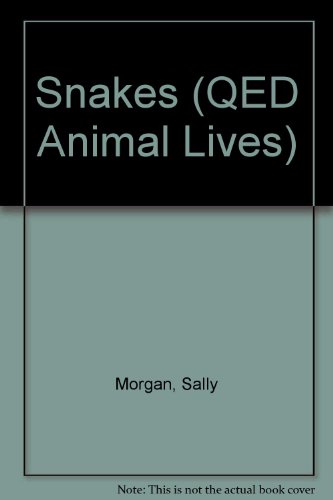 9781845382698: Snakes (QED Animal Lives)