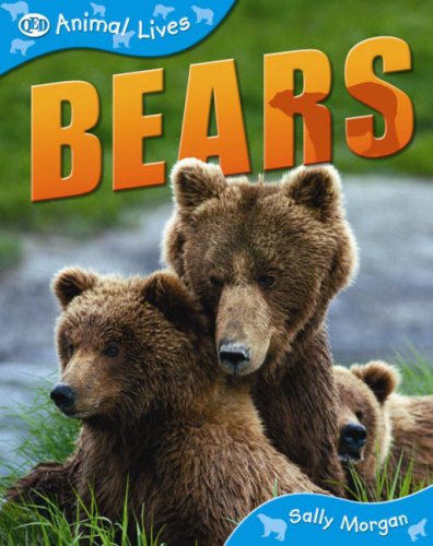 9781845382971: Bears (QED Animal Lives)