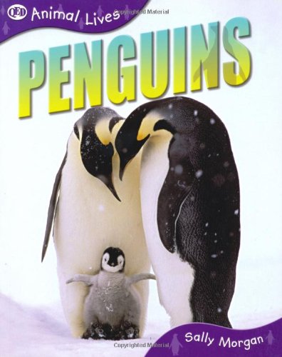Stock image for Animal Lives: Penguins (QED Animal Lives S.) for sale by WorldofBooks