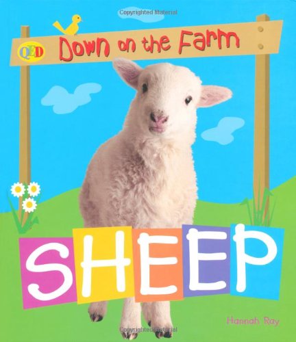 Stock image for Down on the Farm: Sheep (QED Down on the Farm S.) for sale by WorldofBooks