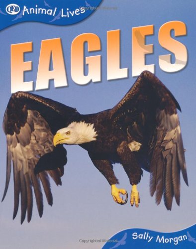 9781845384043: Eagles (QED Animal Lives)
