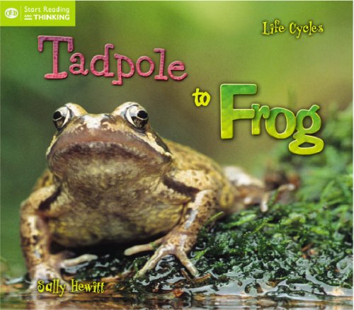 Beispielbild fr Life Cycles: From Tadpole to Frog (QED Start Reading and Thinking S.) zum Verkauf von WorldofBooks