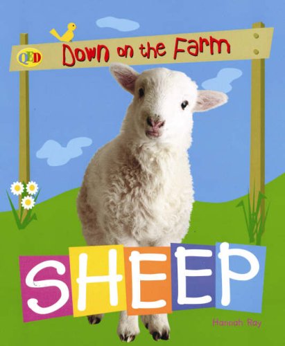 Stock image for Sheep (QED Down on the Farm) for sale by MusicMagpie