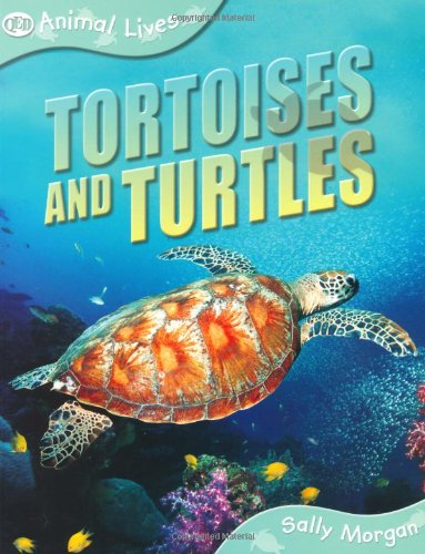 Tortoises and Turtles (QED Animal Lives) (9781845386986) by Sally Morgan