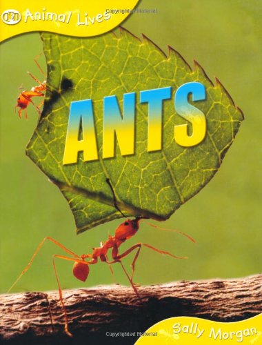 Ants (Animal Lives) (9781845389109) by Sally Morgan