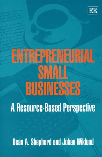 Imagen de archivo de Entrepreneurial Small Businesses : Resource-Based Perspective a la venta por Better World Books Ltd