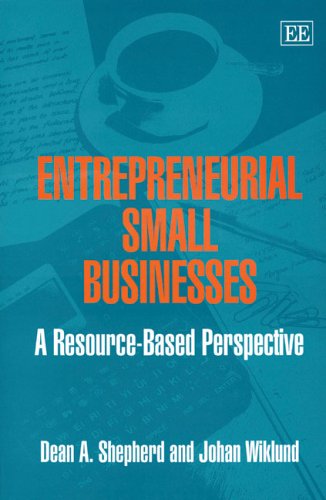 Stock image for Entrepreneurial Small Businesses : Resource-Based Perspective for sale by Better World Books Ltd
