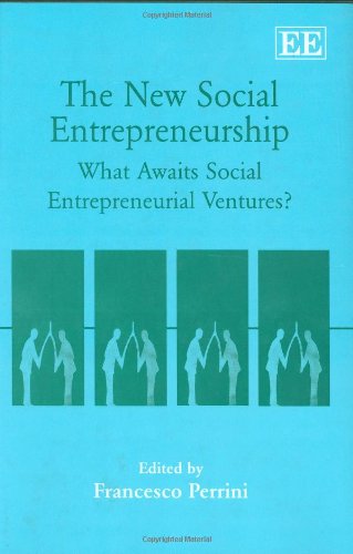 Stock image for The New Social Entrepreneurship: What Awaits Social Entrepreneurship Ventures? for sale by medimops