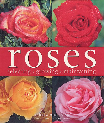 Roses. Selecting Growing Maintaining