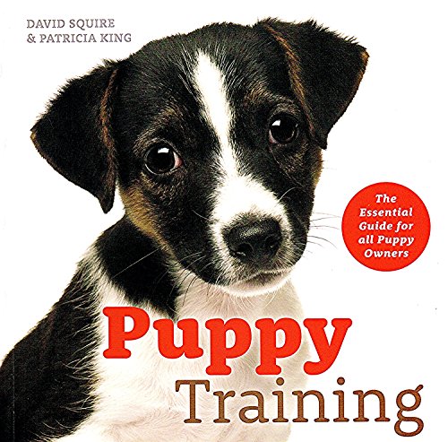 Imagen de archivo de Puppy Training : The Essential Guide for All Puppy Owners a la venta por Better World Books Ltd