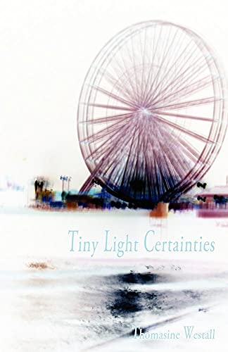 Beispielbild fr Tiny Light Certainties zum Verkauf von Lucky's Textbooks
