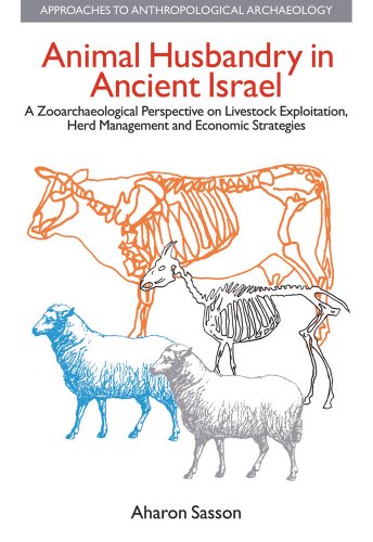 9781845531799: Animal Husbandry in Ancient Israel: A Zooarchaeological Perspective on Livestock Exploitation, Herd Management and Economic Strategies (Approaches to Anthropological Archaeology)