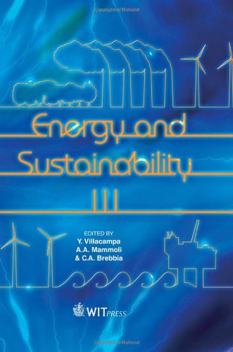 Stock image for ENERGY AND SUSTAINABILITY III for sale by Basi6 International
