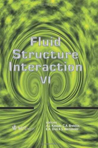 9781845645120: Fluid Structure Interaction: Pt. 6 (Transactions on the Built Environment) (WIT Transactions on the Built Environment)