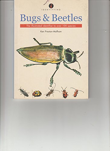 9781845660178: IDENTIFYING BUGS AND BEETLES, THE ILLUSTRATED IDEN