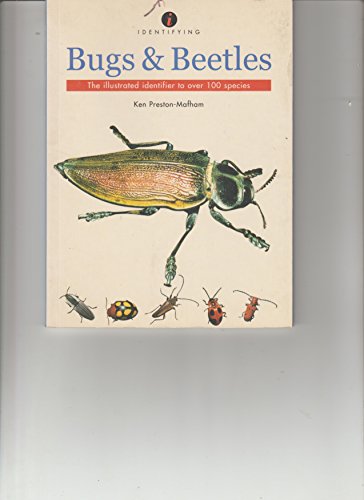 Stock image for IDENTIFYING BUGS AND BEETLES, THE ILLUSTRATED IDENTIFIER TO OVER 100 SPECIES for sale by ThriftBooks-Atlanta