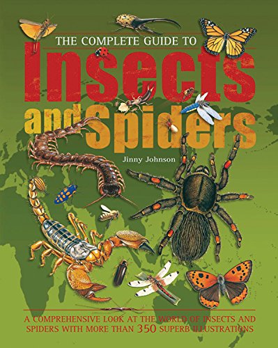 Beispielbild fr Complete Guide To Insects And Spiders zum Verkauf von Wonder Book