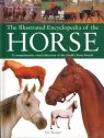Beispielbild fr Illustrated Encyclopedia of the Horse zum Verkauf von Wonder Book