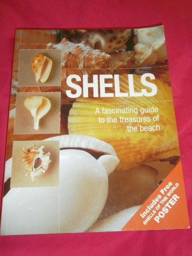 9781845732615: Shells: A Fascinating Guide to the Treasures of the Beach