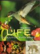Beispielbild fr Life Evolution Explained zum Verkauf von Wonder Book