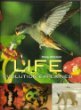 Imagen de archivo de Life Evolution Explained a la venta por SecondSale