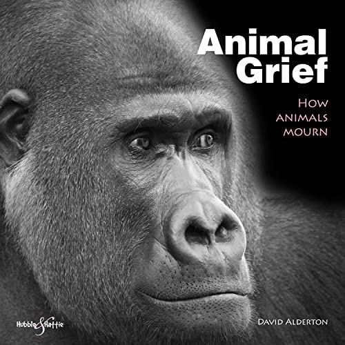 Imagen de archivo de Animal Grief : How Animals Mourn a la venta por Better World Books