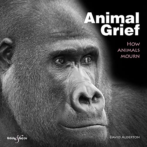 Stock image for Animal Grief: How Animals Mourn for sale by HPB-Ruby