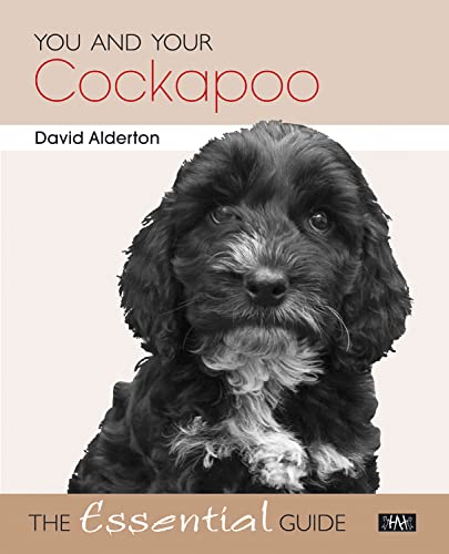 9781845843205: You and Your Cockapoo - The Essential Guide (You and Your (Hubble & Hattie))