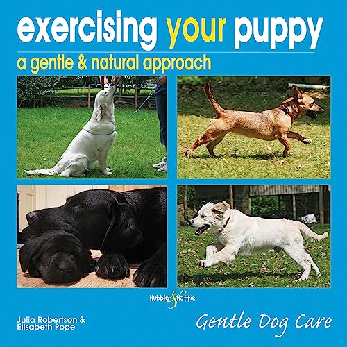 Stock image for Exercising Your Puppy: a gentle & natural approach (Gentle Dog Care Series) for sale by Goldstone Books