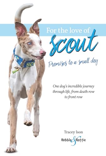 9781845849368: For the Love of Scout: Promises to a small dog